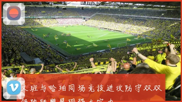 文班与哈珀同场竞技进攻防守双双领跑联盟展现强大实力